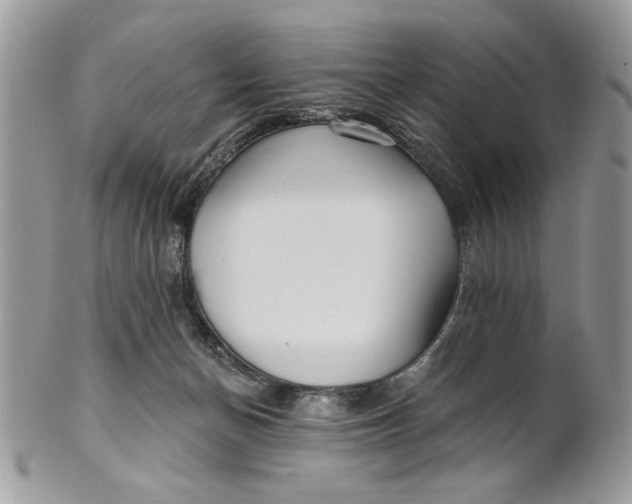 X0000100870174200807071111