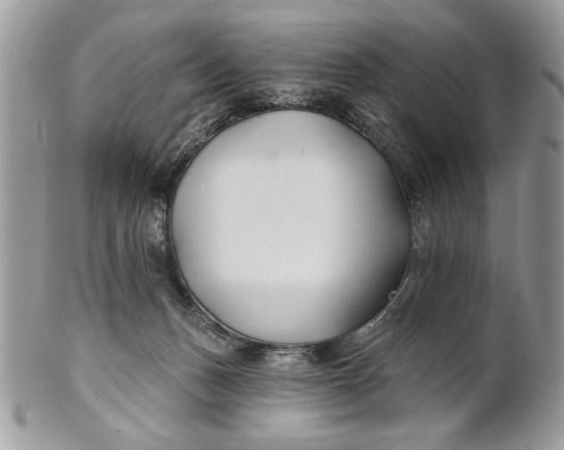 X0000100870175200807071111