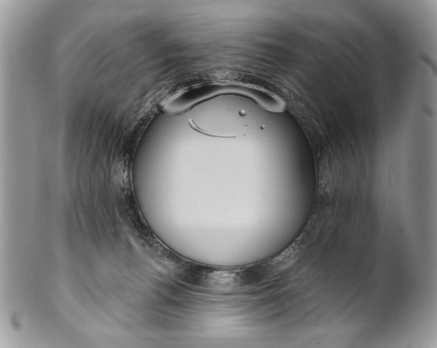 X0000100870176200807071111