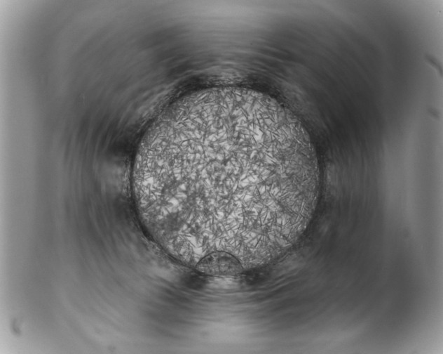 X0000100870177200807071111