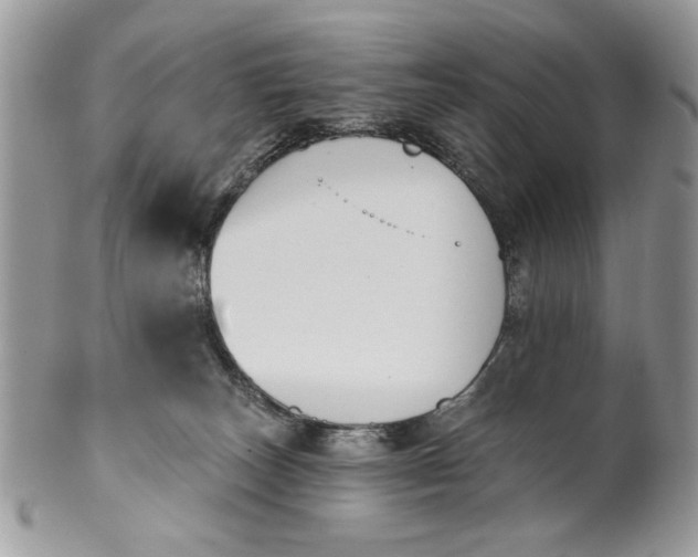 X0000100870179200807071111