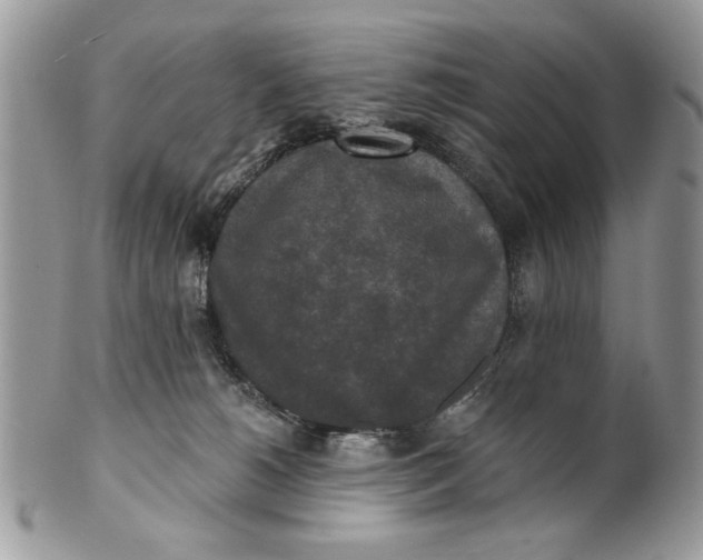 X0000100870180200807071111