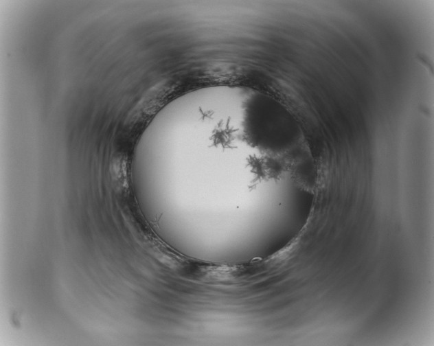 X0000100870182200807071111