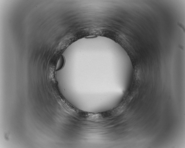 X0000100870185200807071111