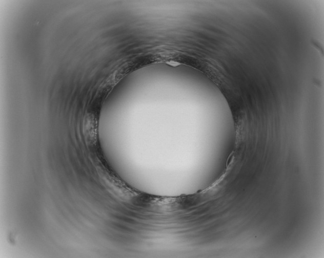 X0000100870186200807071111