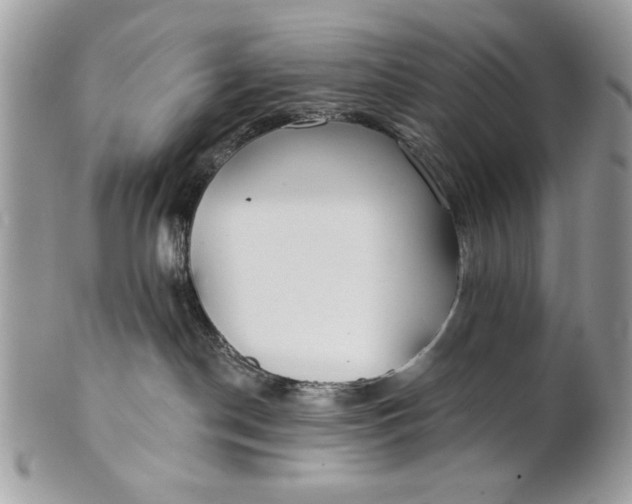 X0000100870190200807071111