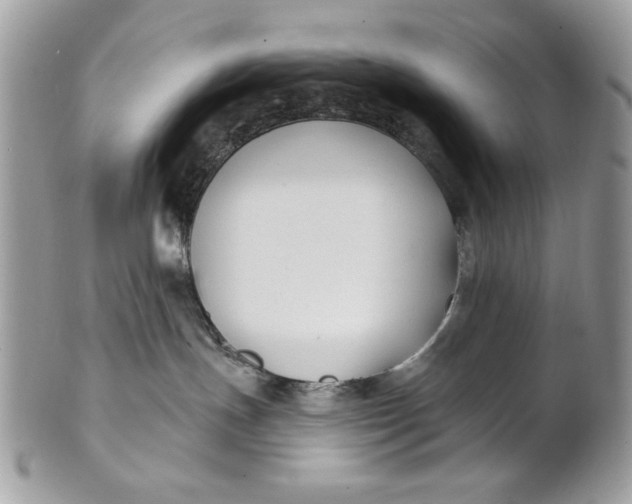 X0000100870191200807071111