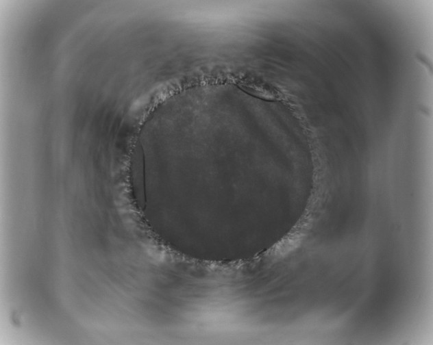 X0000100870192200807071111