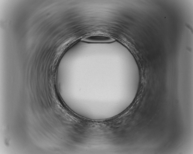 X0000100870193200807071111