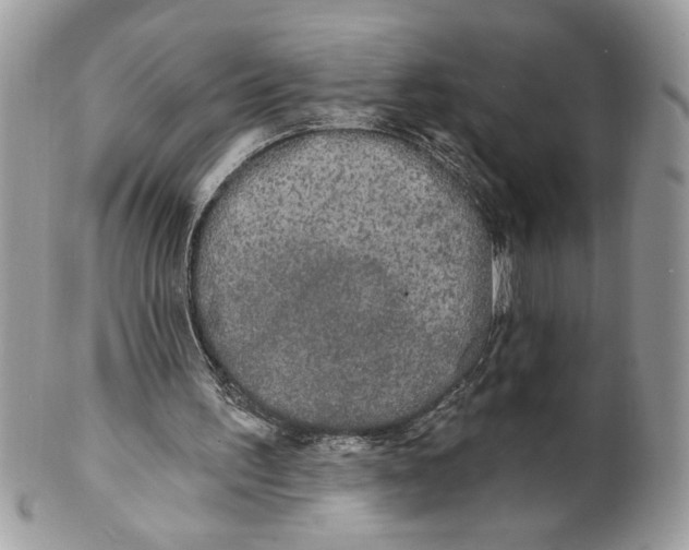 X0000100870195200807071111