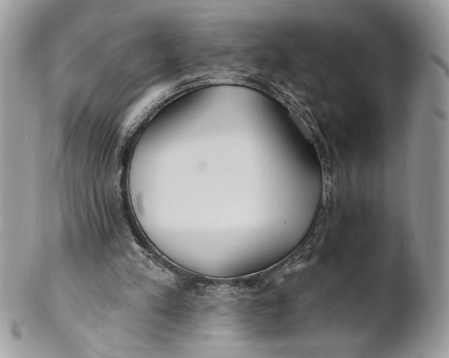 X0000100870197200807071111