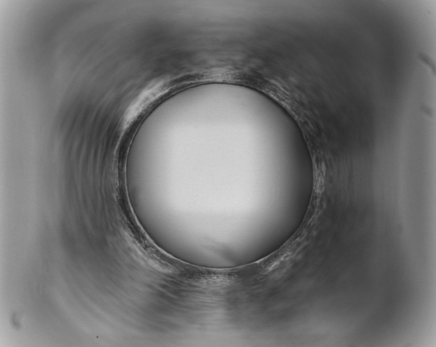 X0000100870198200807071111