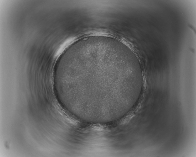 X0000100870199200807071111