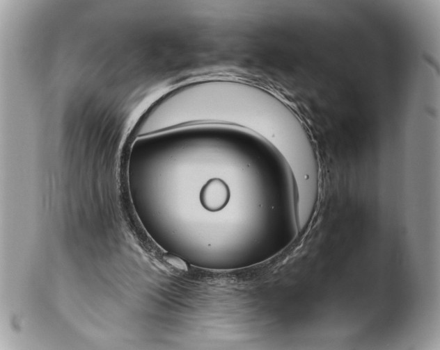 X0000100870200200807071111