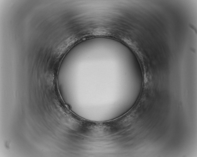 X0000100870201200807071110