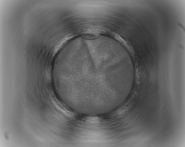 X0000100870203200807071110