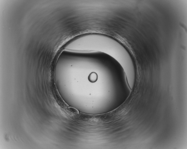 X0000100870204200807071110