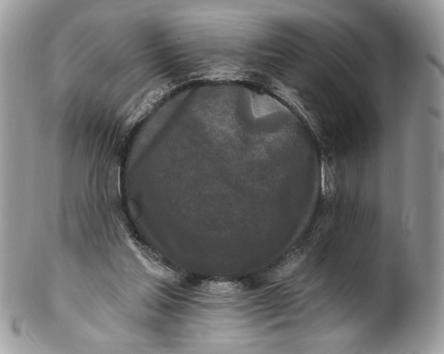 X0000100870205200807071110