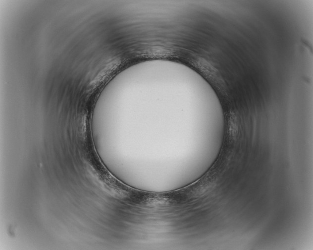 X0000100870206200807071110