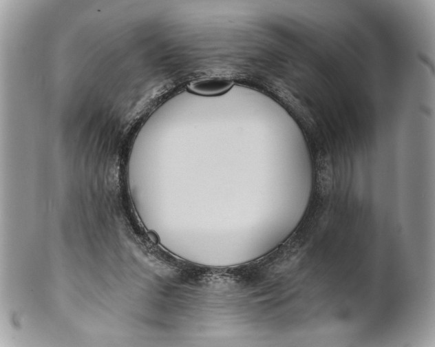 X0000100870207200807071110