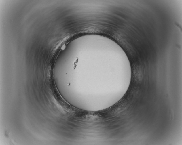 X0000100870208200807071110