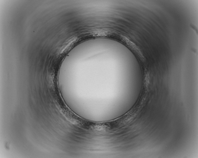 X0000100870209200807071110