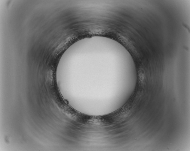 X0000100870211200807071110