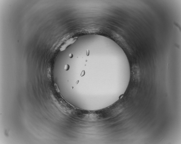 X0000100870212200807071110