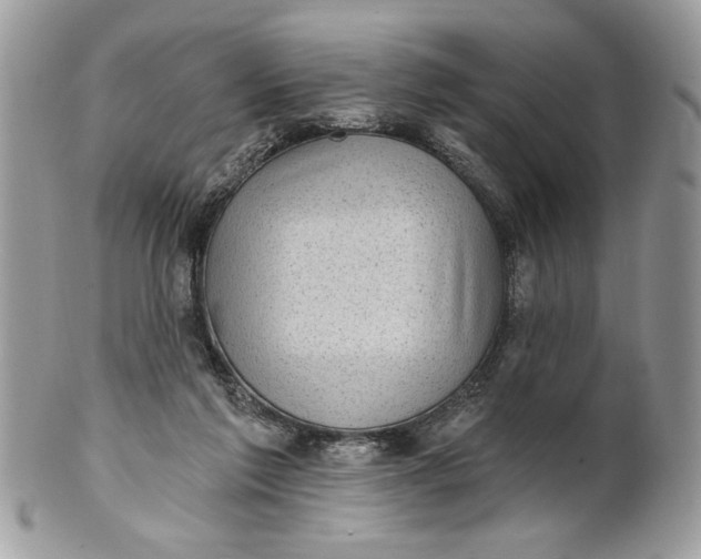 X0000100870213200807071110