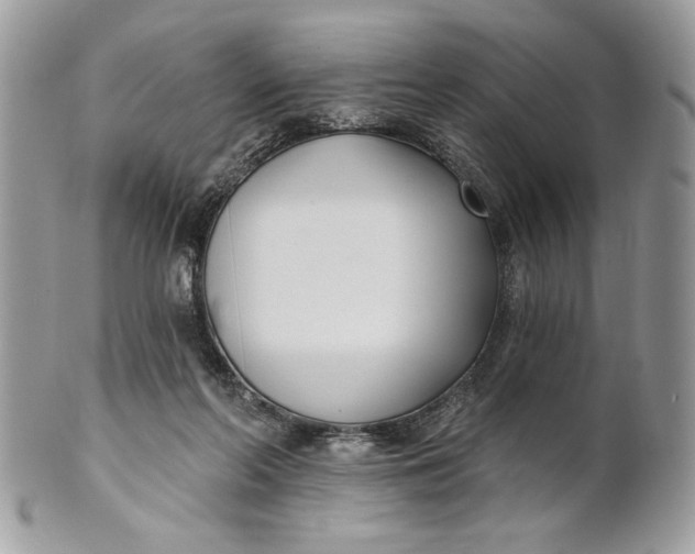 X0000100870214200807071110