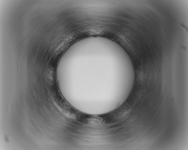 X0000100870215200807071110