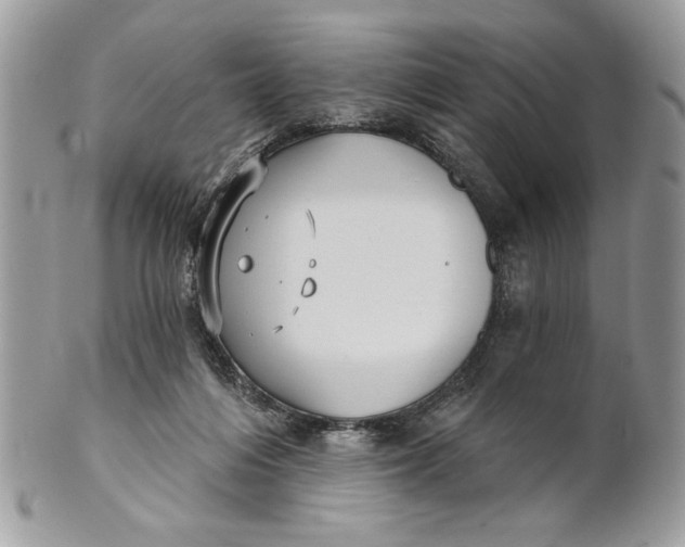 X0000100870216200807071110