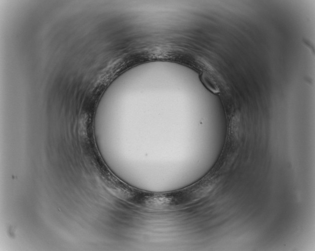 X0000100870217200807071110