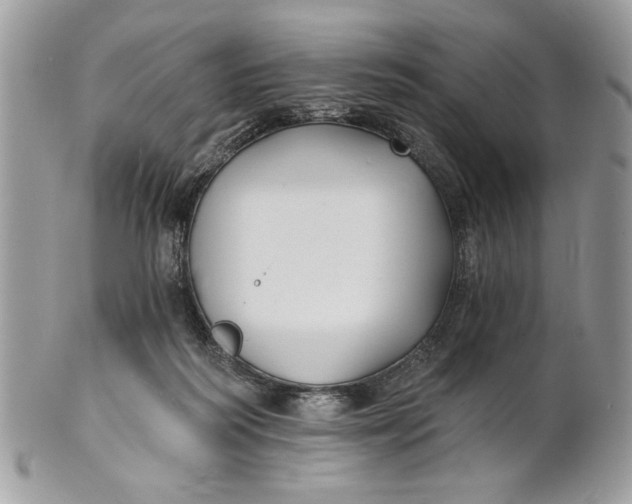 X0000100870218200807071110