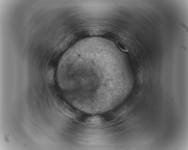 X0000100870219200807071110