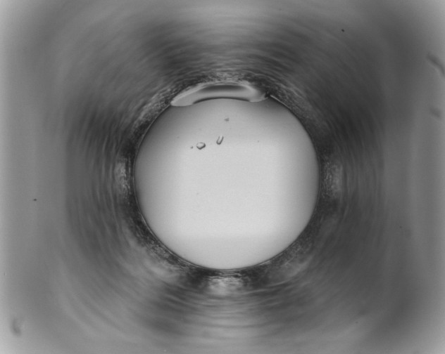 X0000100870220200807071110