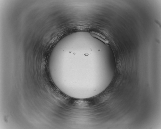 X0000100870221200807071110