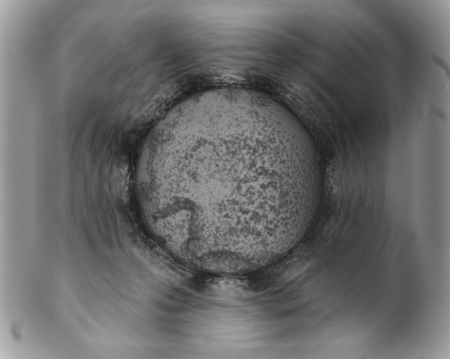 X0000100870223200807071110