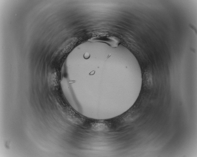 X0000100870224200807071110