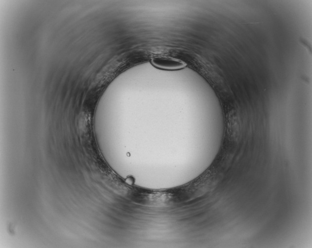 X0000100870225200807071110