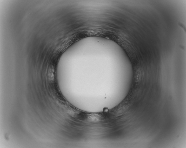 X0000100870226200807071110