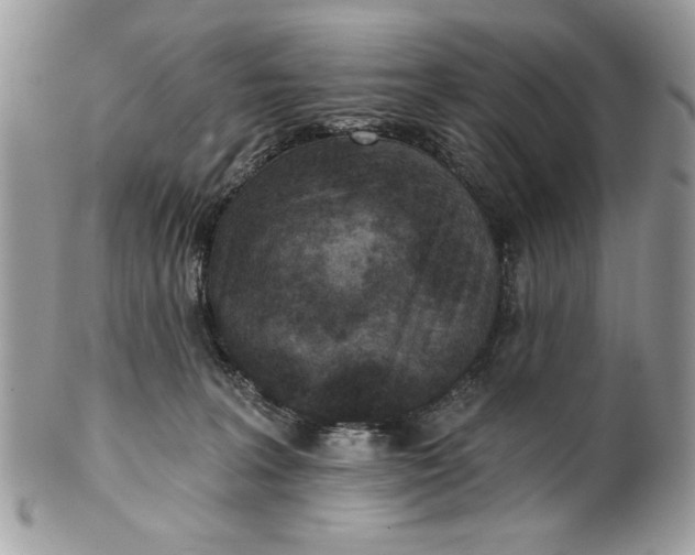 X0000100870227200807071110