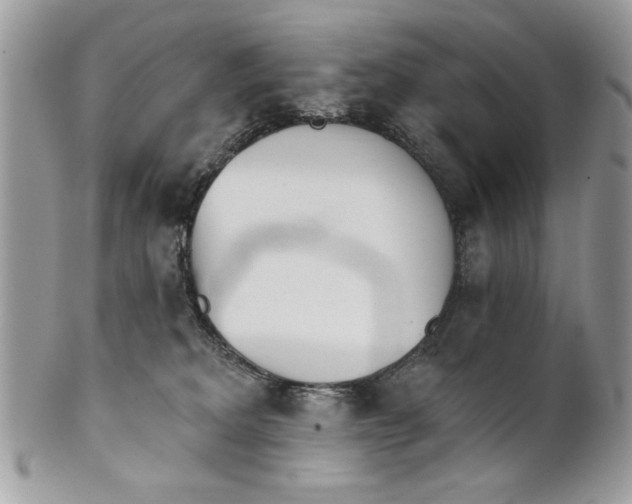 X0000100870229200807071110