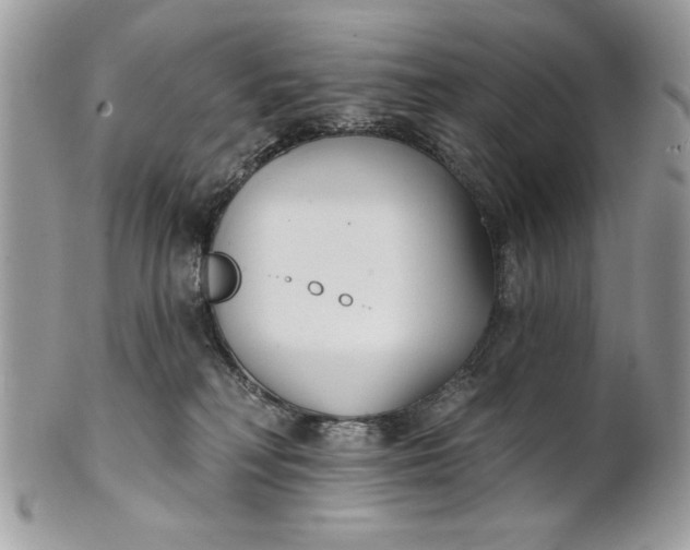 X0000100870230200807071110