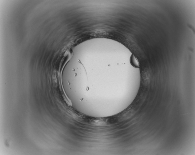 X0000100870232200807071110