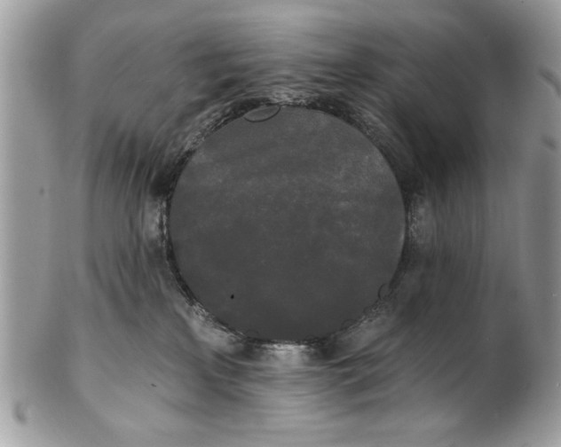 X0000100870233200807071110