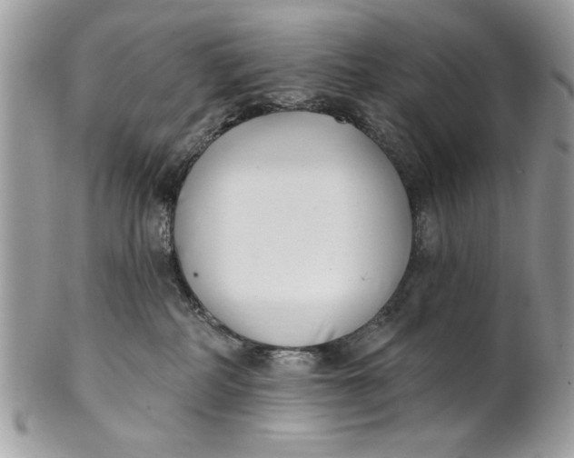 X0000100870234200807071110