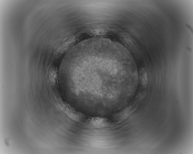 X0000100870235200807071110