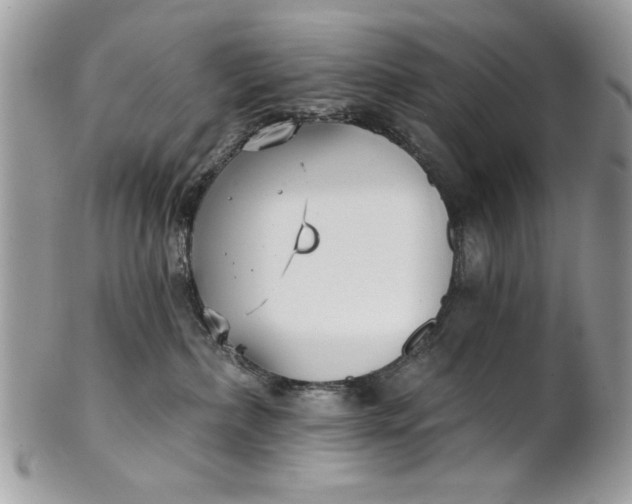 X0000100870236200807071110