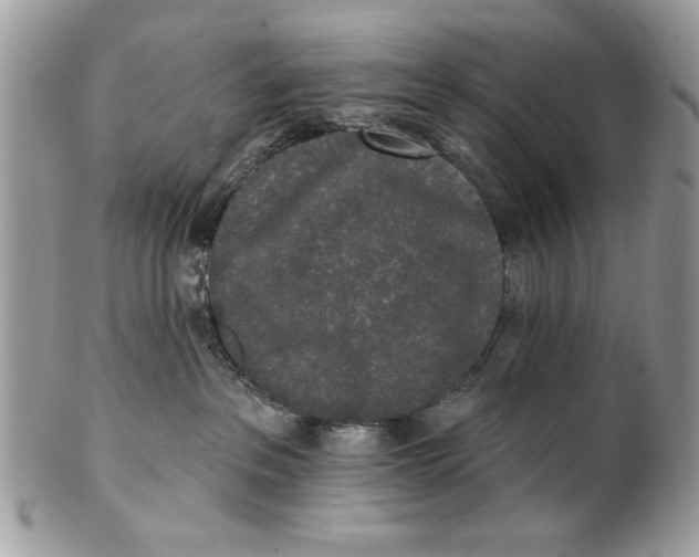 X0000100870237200807071110